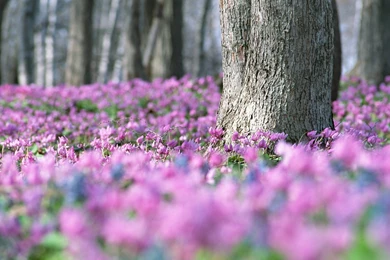 2015 10 09   Page 98