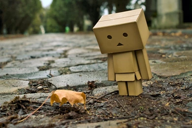 Wallpapers Boring Face With Motive Sad Submit How To Use Picky ...