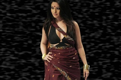 Riya Sen Sexy Saree Hot Bra Wallpapers