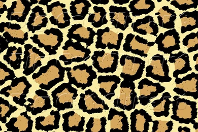 Big Cat Clipart Of A Beige Tan And Black Leopard Spots Backgrounds ...