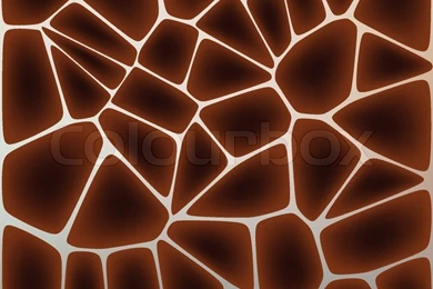 Giraffe Spots Backgrounds Design. EPS 8 Vector File Included ...