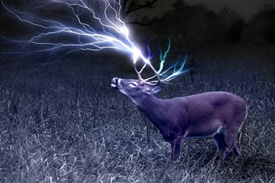 Hunting Wallpapers   Wallpapers Zone