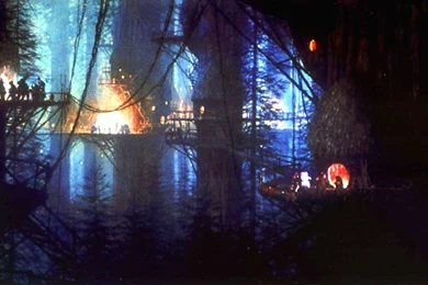 Top Ewoks Images Wallpapers Wallpapers