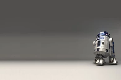 Star Wars Animals Humor Grass Ewok Chipmunks 3659x2439 Wallpapers ...