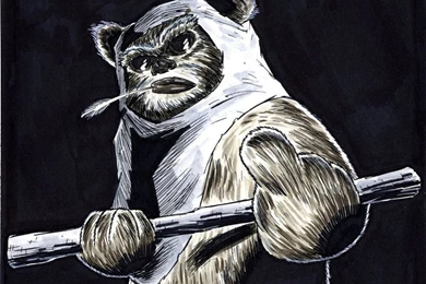 Ewok By Drawhard On DeviantArt