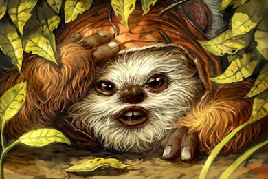 What Star Wars Species Are You?