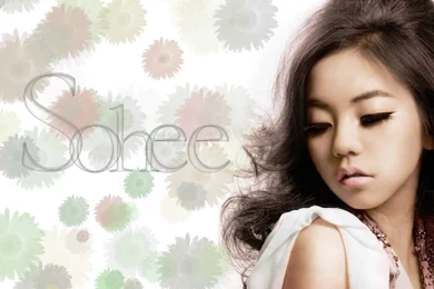 Sohee Wallpaper Flower Photo By CamronJo