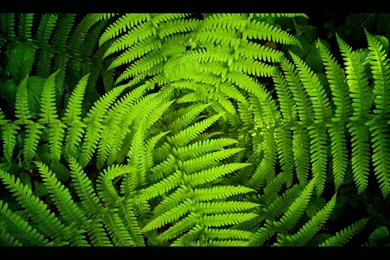 Photography Hd Wallpapers 1080x607 Love Wallpapers Photography