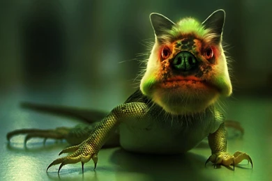 HD Wallpapers: 3D HD Wallpapers Widescreen