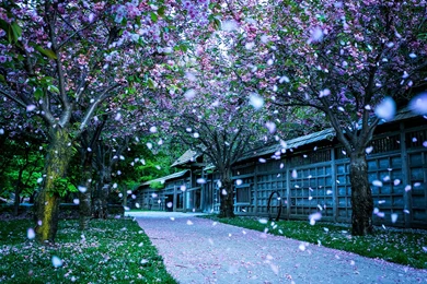 Beautiful Dreamy Street Road Scenery HD Photography Wallpapers 12 ...