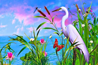 Splendid Scenery? >> HD Wallpaper, Get It Now!