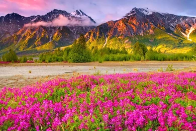 Beautiful Scenery Pics