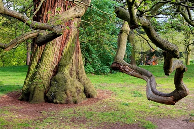 Desktop Backgrounds Nature Amazing