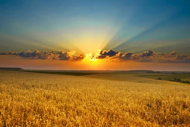 These Are Our Nature Backgrounds Including Some Beaches And Some ...