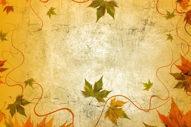 Windows, Background, Nature, Abstract, Wallpapers (