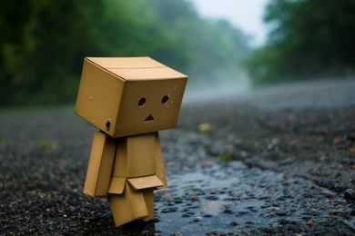 Pic New Posts: Boys Wallpapers Download