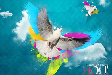 Happy Holi With White Bird Desktop Hd Wallpapers