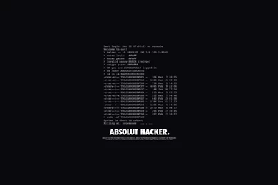 Console Typography Hackers Digital Art Black Backgrounds Wallpapers ...
