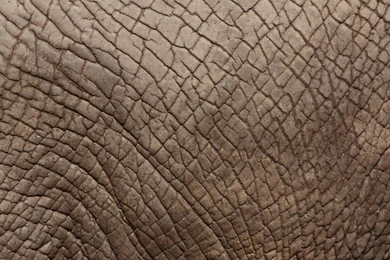 887796 Skin Wallpapers