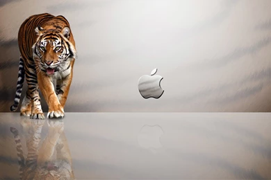 Apple Wallpapers Hd Wf1027