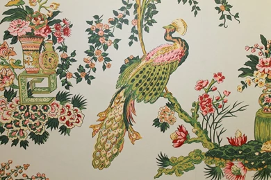 Nesie And Her Purple Puffin: Missoni And Nanette Lepore