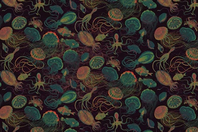 700 MILLION YEARS IN PRINT