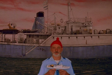 7 The Life Aquatic With Steve Zissou HD Wallpapers
