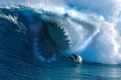 Shark Wallpapers Collection (37+)