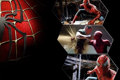 Spiderman Wallpapers Peter Parker & Mary Jane Watson Wallpapers ...
