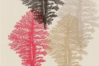 Modern Wallpapers By Cole & Son