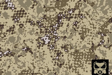 Beautiful Fear Camo Dsrt