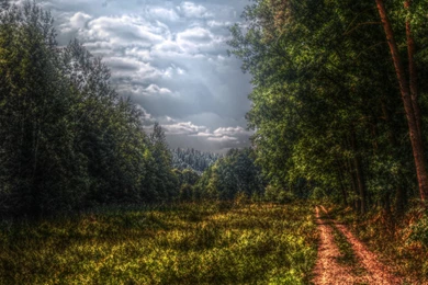 Hdr Photography Paths Trees Wallpapers   (