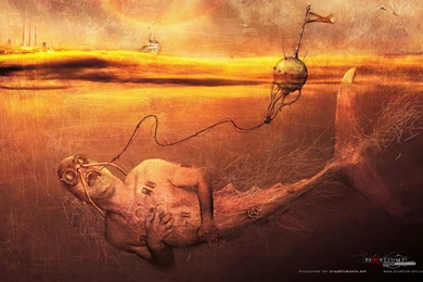 Human Fish Surreal Wallpaper: View HD Image Of Human Fish Surreal ...