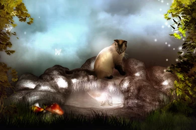 Free Download Fantasy Wallpapers 1920x1080