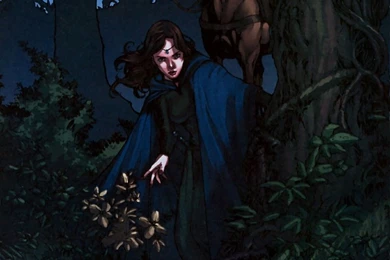 Horses,Wheel Of Time Horses Wheel Of Time Moiraine 1360x1077 ...