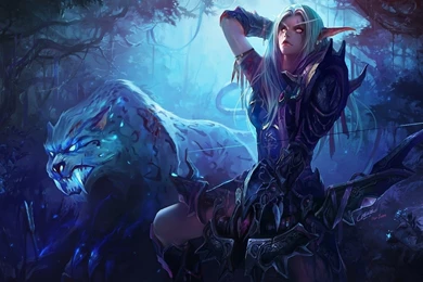 1920x1200 Wow Night Elf Hunter Wallpapers