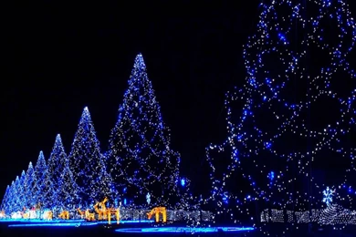 Merry Christmas Wallpapers (⊙.⊙(◉̃_᷅◉)⊙.⊙) For Whatsapp ...