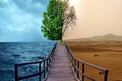 Nature3 Samsung Wallpaper,Android Wallpapers,Mobile Wallpaper_High ...