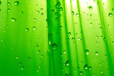 Android Mobile Wallpaper,desktop Wallpapers