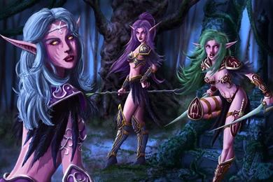 Worldofwarcraftnightelf   DeviantArt