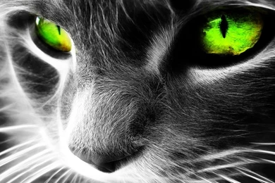 Android Phone Wallpaper,Android Background,960x800  67_New Mobile ...