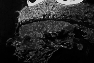 Oscar The Grouch By AllenP On DeviantArt