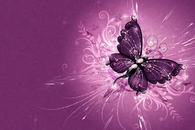 3d Butterfly Wallpapers Free