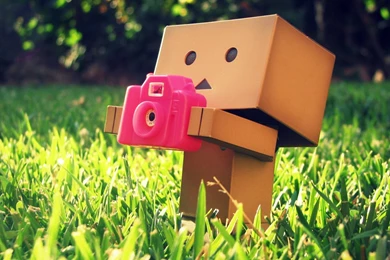 Funny Wallpapers For Facebook. Girly Skull Wallpapers Real Steel ...