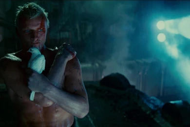 Download Blade Runner Wallpapers 1920x800