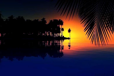 Desktop Backgrounds Beautiful Dragonfly Photos Of Personalize Your ...