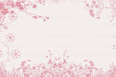 White Pink Flowers Wallpapers