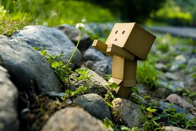 Cute Robot Wallpapers HD Desktop 15432   Amazing Wallpaperz