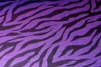 1920x1080 PURPLE WALLPAPER WF1005