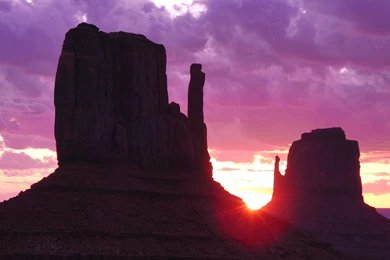 Free Download! Desktop Backgrounds Wallpapers By Love Mushroom